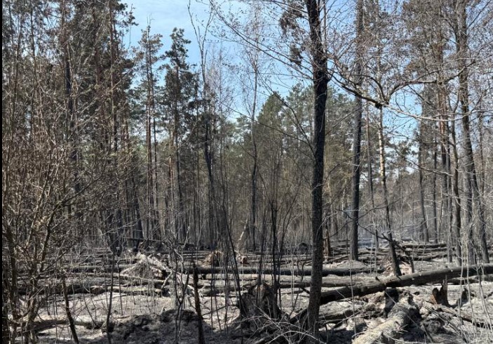 Біля Чорнобиля поширилася масштабна пожежа: найскладніша ситуація на березі Прип’яті